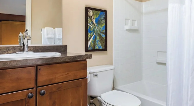 Номер Standard c 1 комнатой WorldMark Estes Park