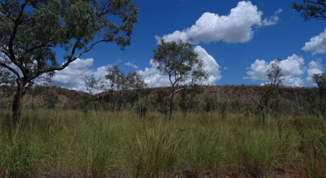 Bell Gorge Wilderness Lodge, Buchen Sie Ferienhaus Derby Kimberley
