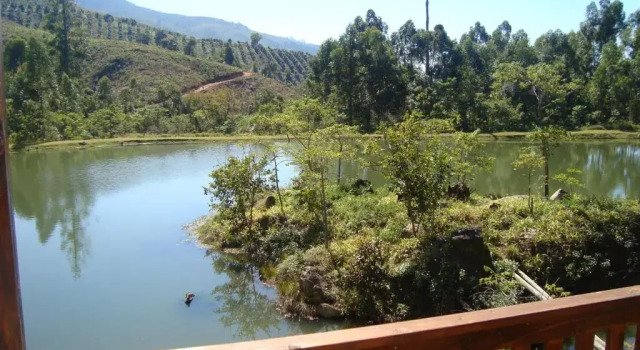 Номер Standard c 1 комнатой Magoebaskloof Getaway