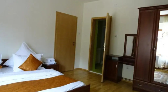 Люкс Pension Cuibul Viselor