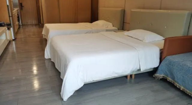 Люкс Guangzhou No. 5 Apartment (Zhujiang New Town Sports West Road Metro Station