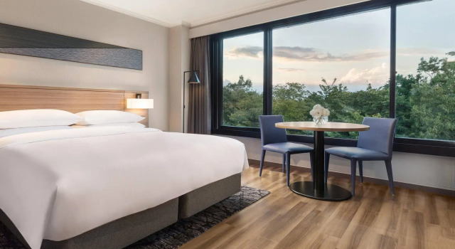 Двухместный номер Superior с видом на горы Izu Marriott Hotel Shuzenji