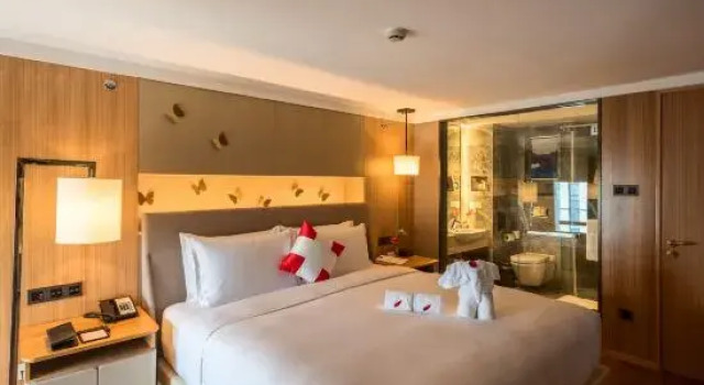 Люкс Deluxe Swisstouches Hotel Nanjing