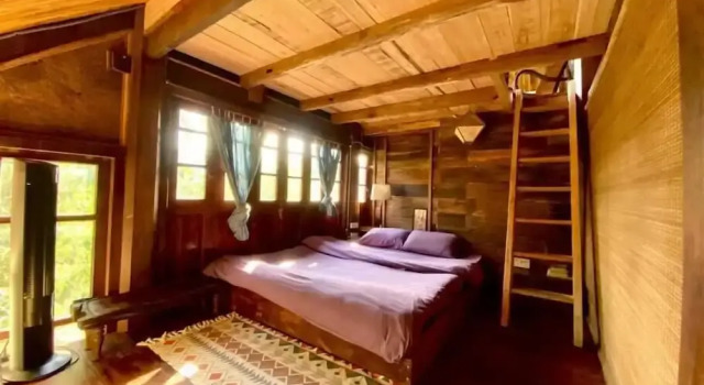 Номер Standard Chapi Dreamy Home