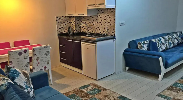 Апартаменты Цокольный этаж c 1 комнатой Mego Suite Otel