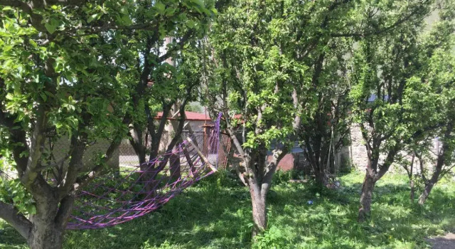 Номер Comfort Kazbegi Guest House