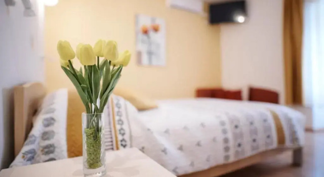Номер Standard Guesthouse Villa Galovic