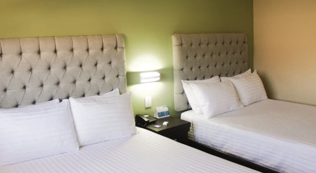 Четырёхместный семейный номер Standard Hotel Mirage