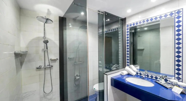 Одноместный номер Standard Hotel Princesa Parc