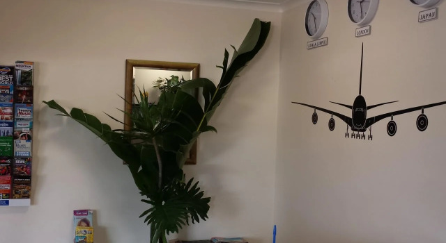 Gold Coast Airport Motel - Only 300 Meters To Airport Terminal, Réserver Motel Bilinga Gold Coast