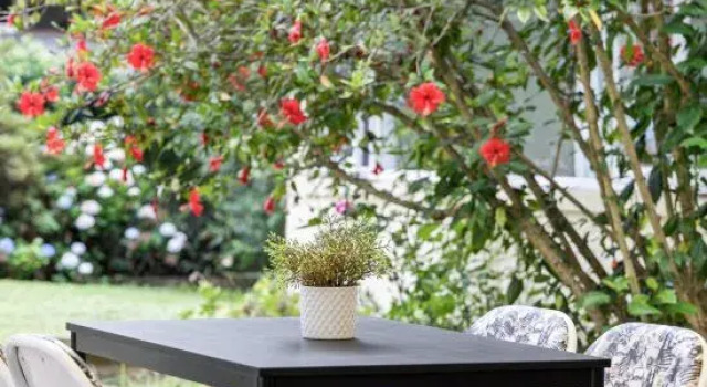 Bright & Cozy Rooms – Steps to Train & Shops, Buchen Sie Hotel Pymble Region Sydney