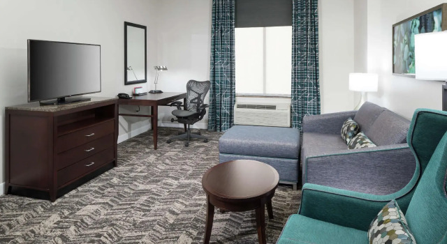 Двухместный номер Premium Hilton Garden Inn DFW North Grapevine