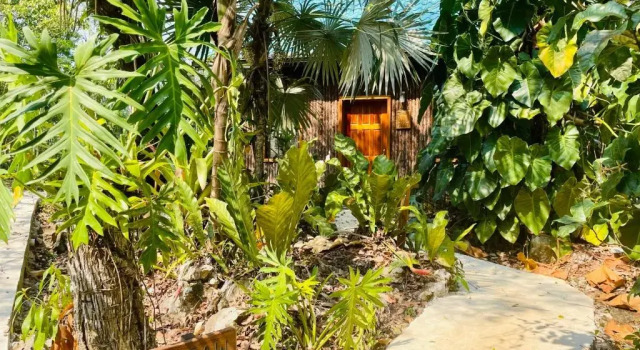 Люкс Mariposa Jungle Lodge