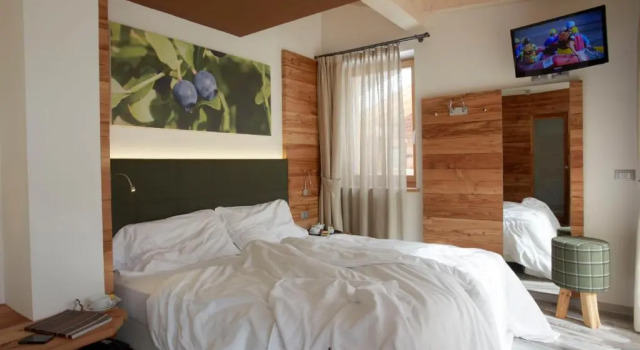 Полулюкс Chalet Vites Mountain Hotel