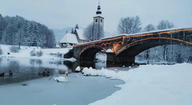 Cottage Suha, Buchen Sie Ferienhaus Hotels in Vogel mit Parkplatz, Parkplätze