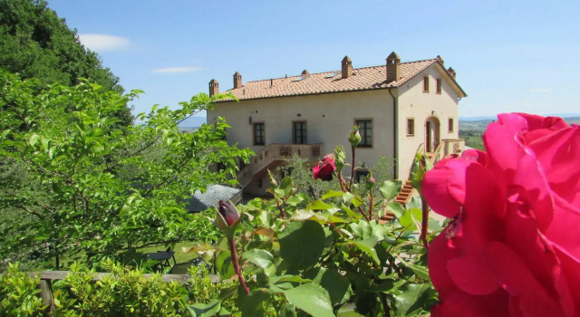 Poggio Olivo