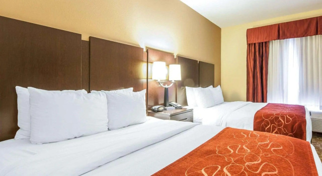 Четырёхместный люкс Comfort Suites