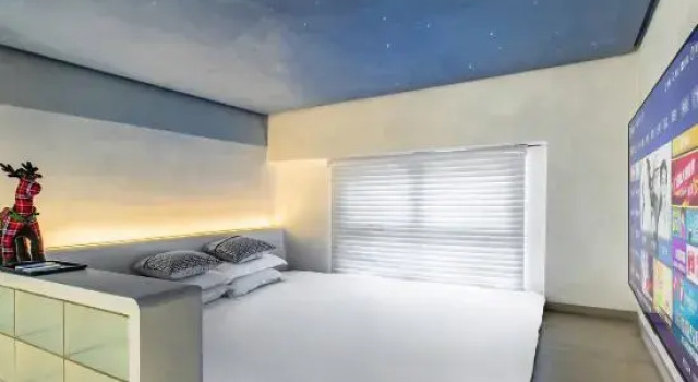 Люкс TUYU  Apartment