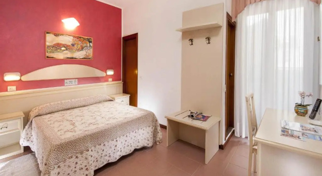 Двухместный номер Standard Hotel Napoleon