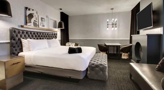 Двухместная студия The Rose Chicago, Tapestry Collection By Hilton