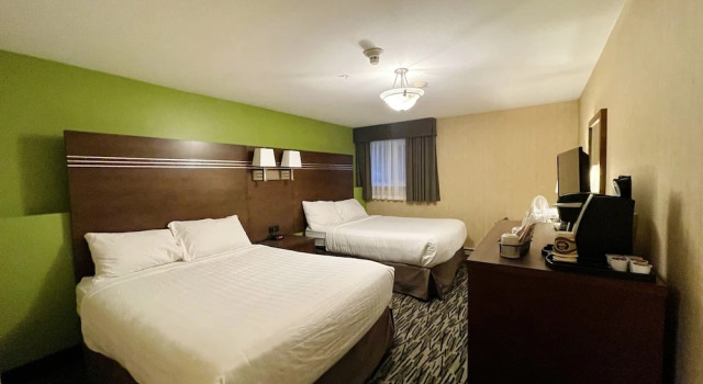Четырёхместный номер Economy Цокольный этаж Fernie Stanford Resort