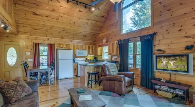Treetops- Mtn View Cabin near Ocoee River, Rezervați Hotel Copperhill Statele Unite ale Americii