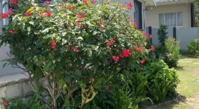 Студия Guest House on Keam