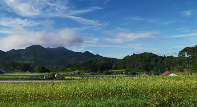 Коттедж с 3 комнатами Setouchi Cominca Stays Hiroshima Chojaya