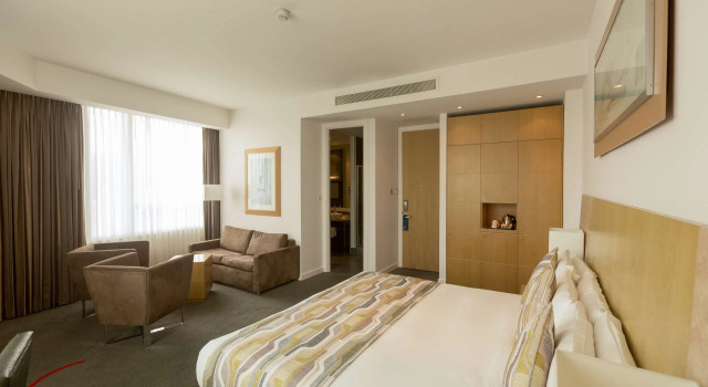 Полулюкс Park Plaza Cardiff