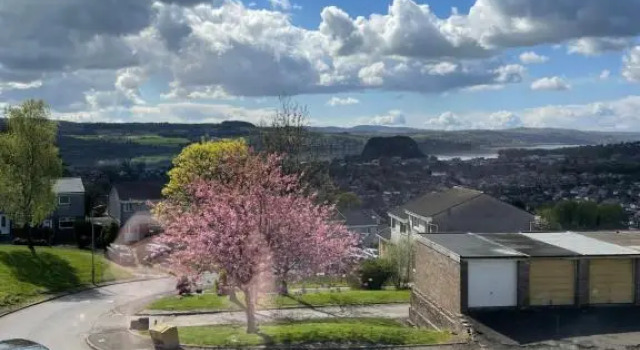 Апартаменты Dumbarton With A View
