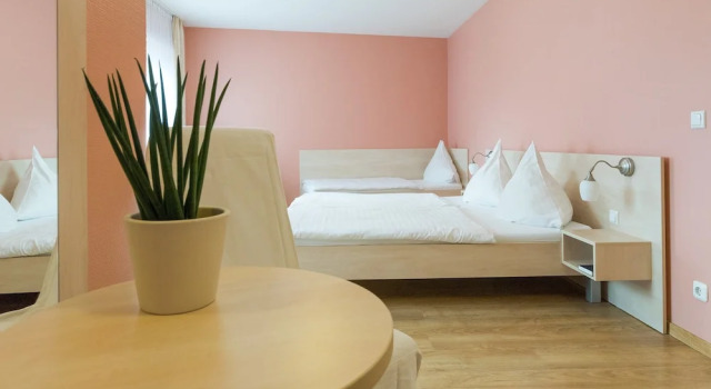 Номер Comfort Hotel Martin