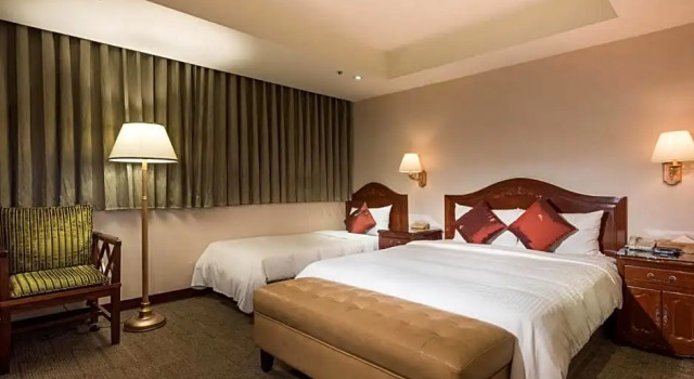 Camera Deluxe 新仕飯店-New City Hotel