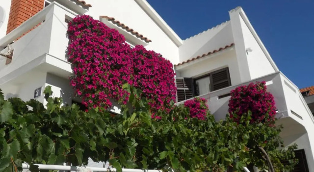 Апартаменты Apartments Mihalić