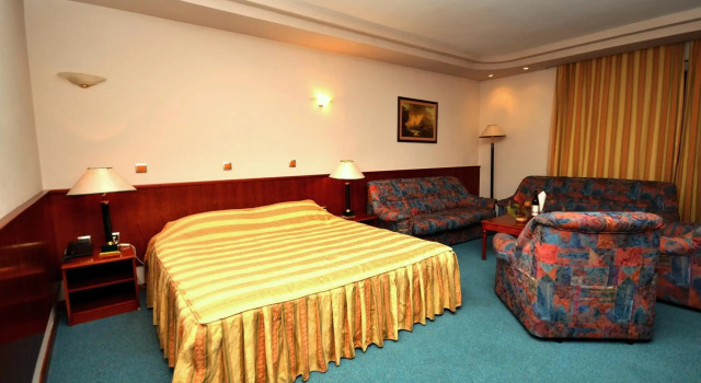 Hotel Lebed