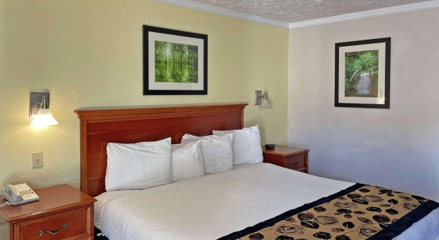 Двухместный номер Standard The Inn at Baechtel Creek