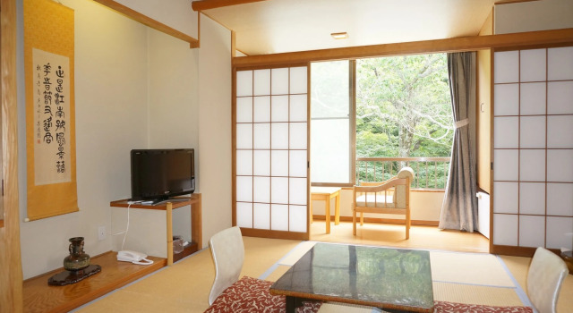 Номер Standard Kakeyu Onsen Tsuruya Ryokan