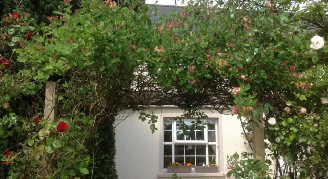 Culmore Cottage B&B, Book Bed and Breakfast Londonderry Londonderry County