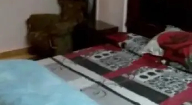 القطعانى