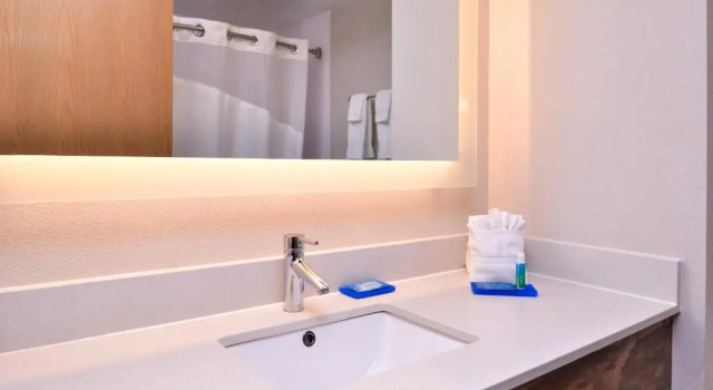 Номер Standard Holiday Inn Express Hotel & Suites Tampa-Anderson Road-Veterans Exp by IHG