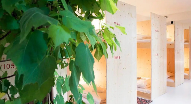 Кровать в общем номере The Green Elephant Hostel & Spa