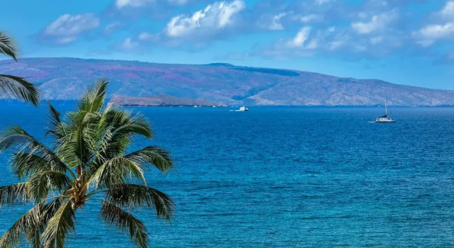Номер Standard Polo Beach Club Two Bedrooms - Sleeps 6 by Coldwell Banker Island Vacations