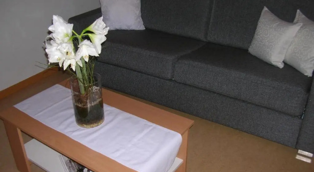 Appartements Mantinger