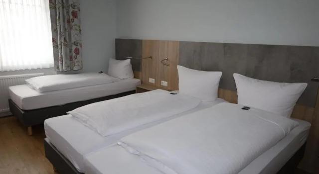 Трёхместный номер Standard Hotel-Pension Am Böhmepark