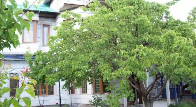 Guest House on ul Davidashen 10