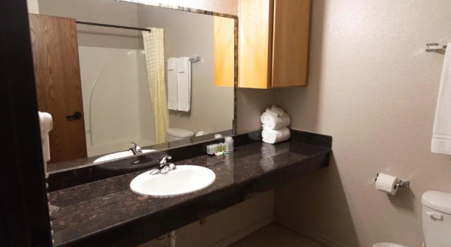 Номер Standard Premium Inn and Suites
