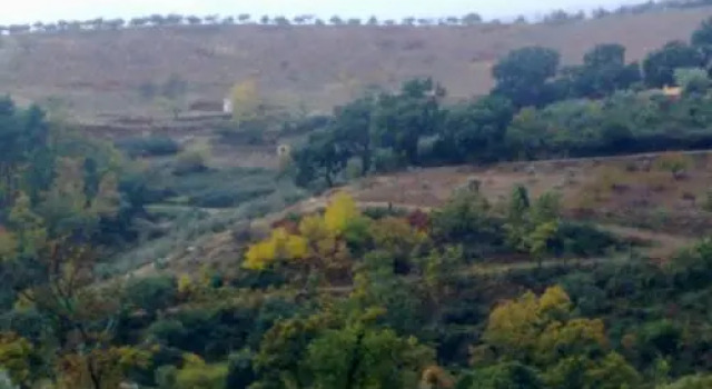 Apartamentos Rurales Candela, Book Apartment Hotels in Extremadura with Breakfast, Breakfasts