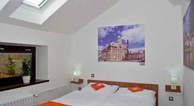 Двухместный номер Standard Hotel Pod Radnicí
