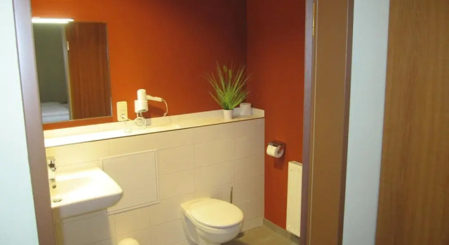 Одноместный номер Standard Hotel am Kellerberg