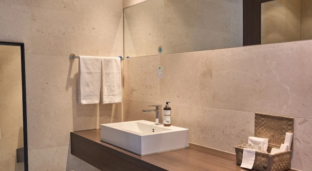 Люкс Deluxe Limmathof Baden - Historisches Haus & Spa