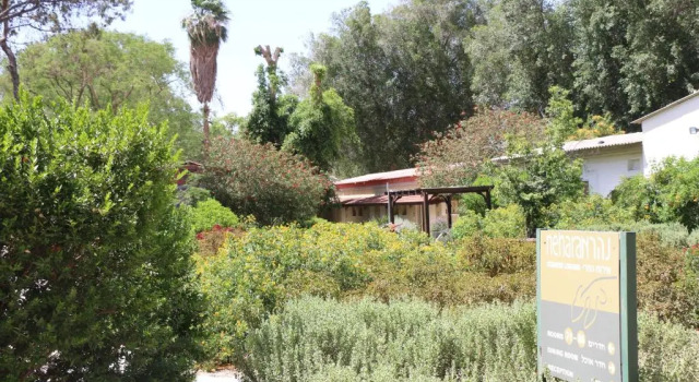 Семейный номер Standard Ashdot Yaacov Ichud Kibbutz Country Lodging